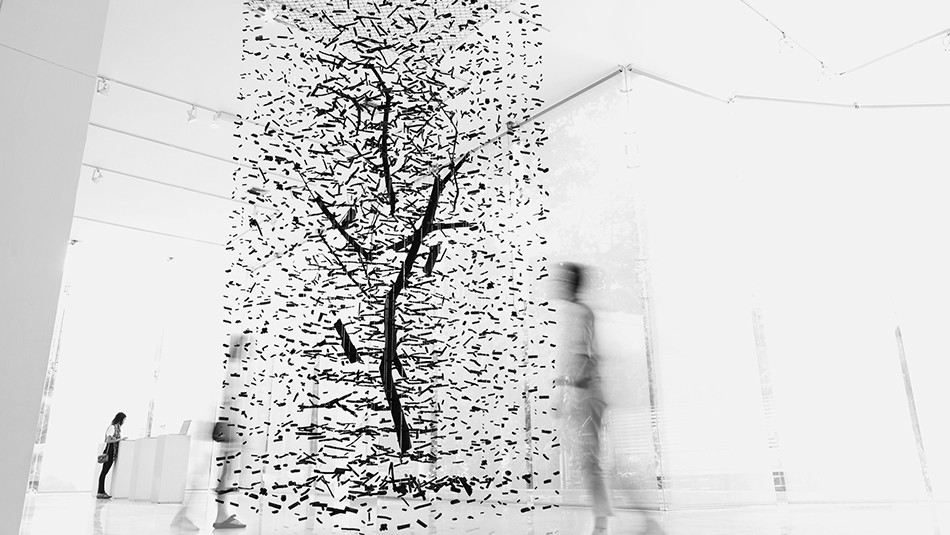 Ash art installation